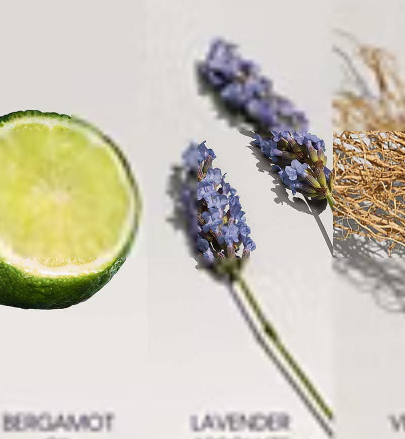 Calvin Klein Defy Eau de Toilette for Men 30ml Calvin Klein