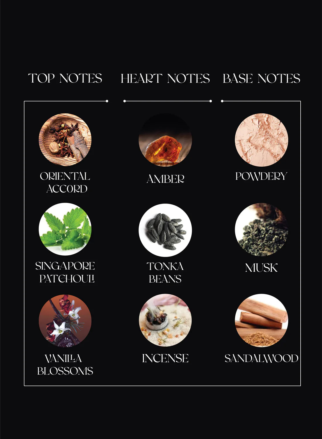 MPF - Thrive In Red | EDP 100ML | UNISEX